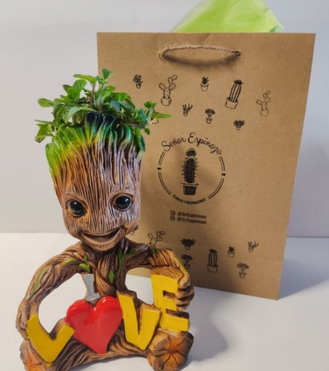 Maceta Groot Te Amo